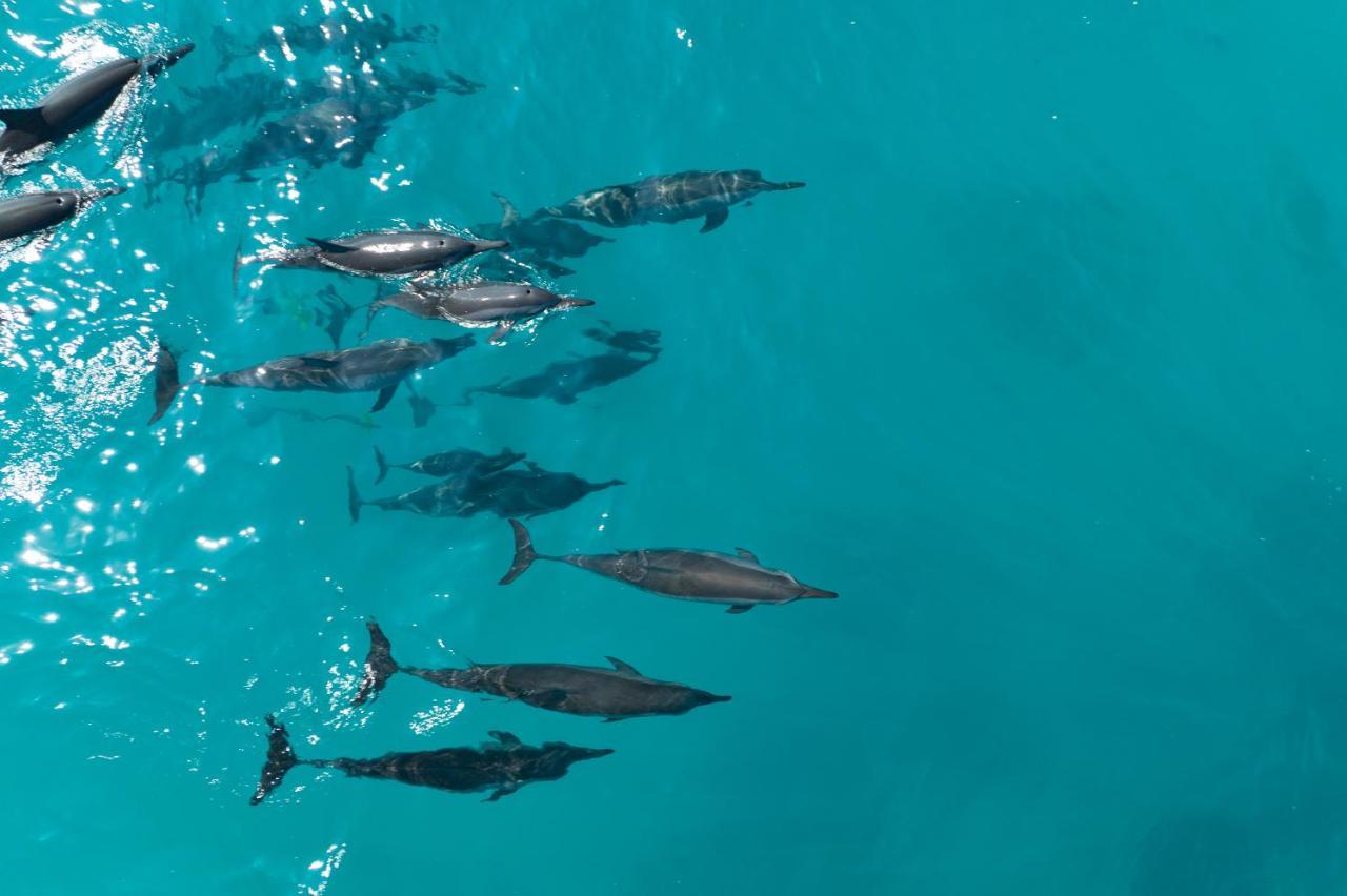 Rihiveli Maldives Resort Mahaanaelhihuraa Kültér fotó